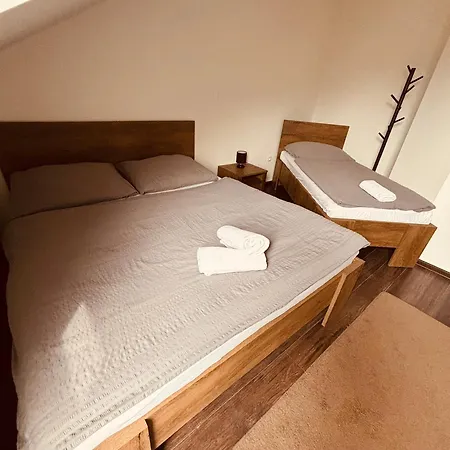 Alexander Apartament Wierzbów