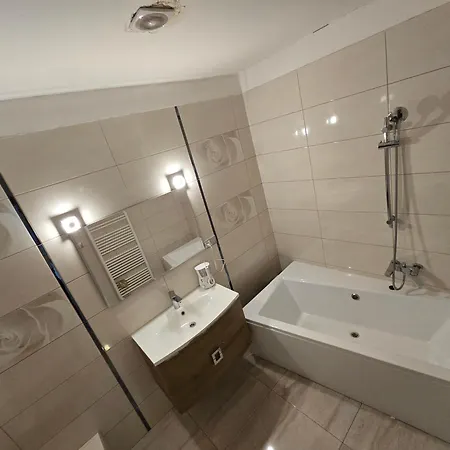 Alexander Apartament Wierzbów