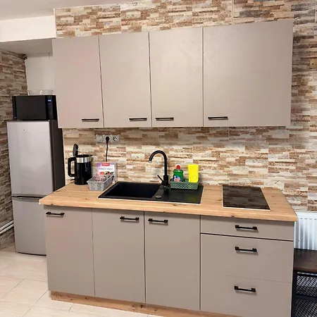 Alexander Apartament Wierzbów